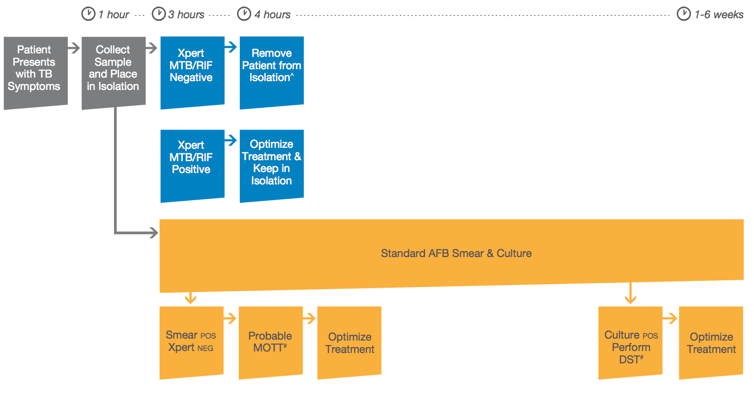 /Site Images/Tests/mtbrif-pathway-updated.png